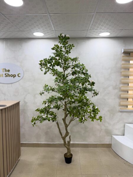 Artificial Gardenia Tree – Luxury Indoor Decorative Plant (220cm)
