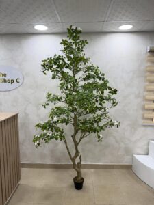 Artificial Gardenia Tree – Luxury Indoor Decorative Plant (220cm)