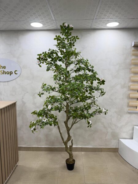 Artificial Gardenia Tree – Luxury Indoor Decorative Plant (220cm)