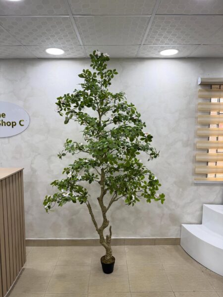 Artificial Gardenia Tree – Luxury Indoor Decorative Plant (220cm)