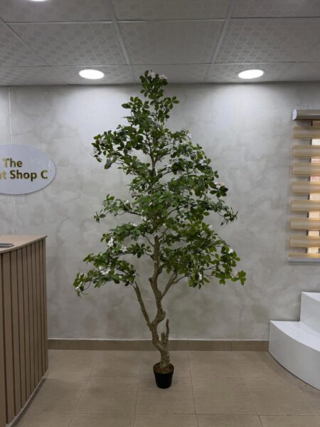 Artificial Gardenia Tree – Luxury Indoor Decorative Plant (220cm)