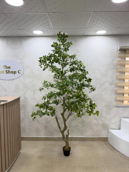 Artificial Gardenia Tree – Luxury Indoor Decorative Plant (220cm)
