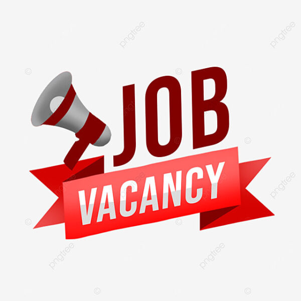 Customer Service & Sales Support Specialist Job in Lagos